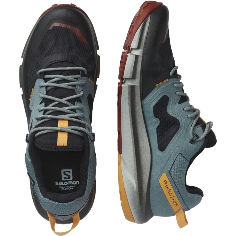 Salomon Predict Hike GTX Men's Hiking Shoes Turquoise / Black | CA 48P37